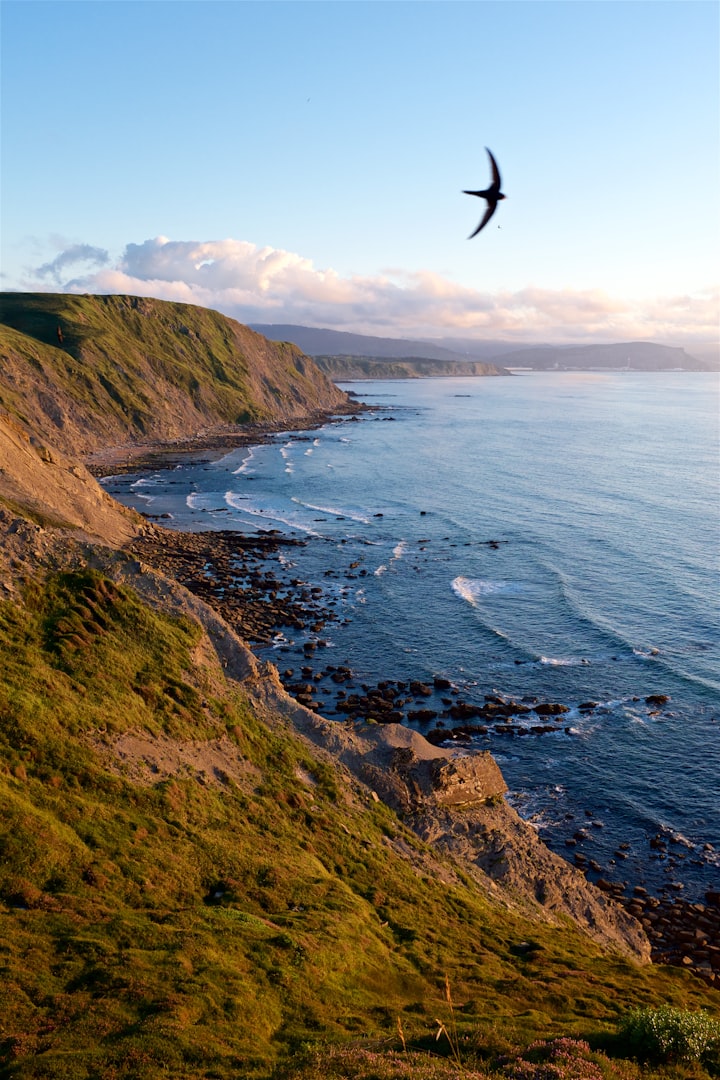Asturias coast 